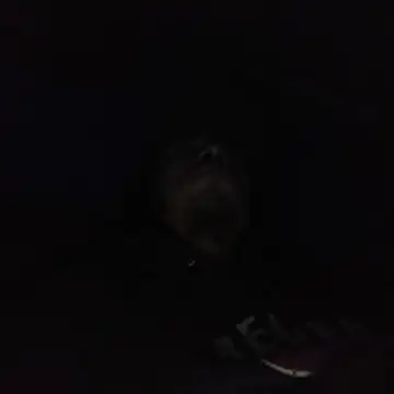 Snapshot of AlexAlejandro13 chatting on 3, 2, 2026 AlexAlejandro13 online show from 3, 2, 2026