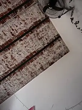 Alicbranca online show from 4, 5, 2026