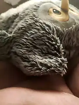 faphouse186582 online show from 24, 1, 2025