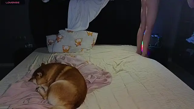 SexyCocobutt online show from 24, 6, 2026