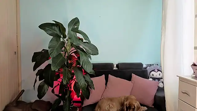 melisa es online show from 5, 2, 2026