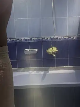 Arabien Pharaoh- online show from 20, 3, 2025