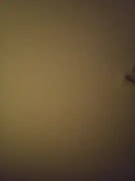 SMOKERBEASTBR online show from 8, 2, 2026