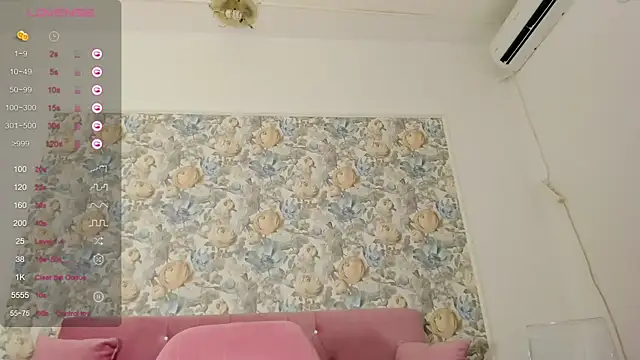 illegal lorry online show from 17, 10, 2025