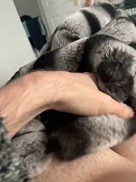 Snapshot of Furdale chatting on 2, 12, 2024 Furdale online show from 2, 12, 2024