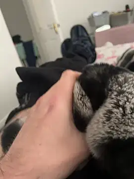 Snapshot of Furdale chatting on 19, 12, 2024 Furdale online show from 19, 12, 2024