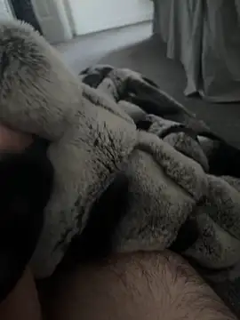 Snapshot of Furdale chatting on 7, 1, 2025 Furdale online show from 7, 1, 2025