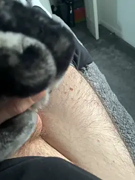 Snapshot of Furdale chatting on 16, 1, 2025 Furdale online show from 16, 1, 2025