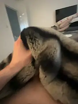 Snapshot of Furdale chatting on 8, 2, 2025 Furdale online show from 8, 2, 2025