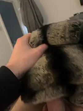 Snapshot of Furdale chatting on 12, 2, 2025 Furdale online show from 12, 2, 2025