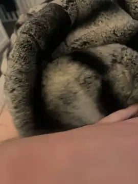 Snapshot of Furdale chatting on 17, 2, 2025 Furdale online show from 17, 2, 2025