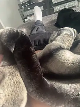 Snapshot of Furdale chatting on 22, 2, 2025 Furdale online show from 22, 2, 2025