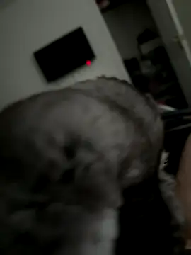 Snapshot of Furdale chatting on 2, 10, 2025 Furdale online show from 2, 10, 2025