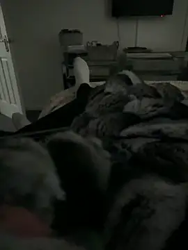 Furdale online show from 11, 2, 2026