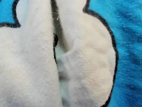 bigbooty29 online show from 29, 9, 2025