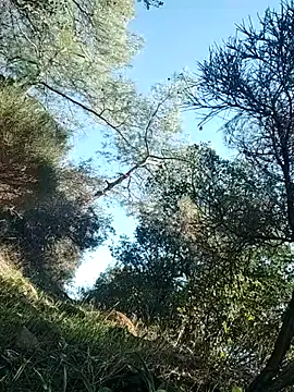 Snapshot of Poyraz6996 chatting on 14, 11, 2025 Poyraz6996 online show from 14, 11, 2025