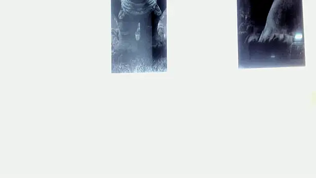 AlexRivera6 online show from 17, 3, 2025