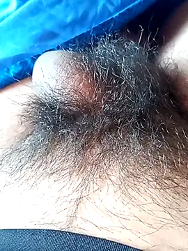 rodovlaz online show from 11, 11, 2025