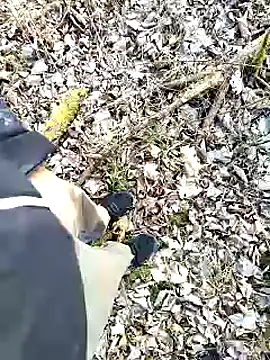 Snapshot of Boring_one chatting on 3, 2, 2025 Boring one online show from 3, 2, 2025