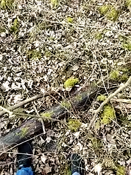 Snapshot of Boring_one chatting on 17, 3, 2025 Boring one online show from 17, 3, 2025