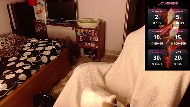 Apolo S online show from 14, 2, 2026