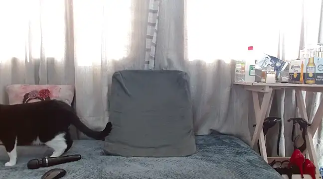 Snapshot of Boonny_Boo01 chatting on 1, 2, 2025 Boonny Boo01 online show from 1, 2, 2025