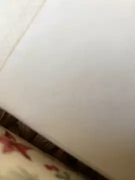 Snapshot of Luishorny19 chatting on 8, 3, 2025 Luishorny19 online show from 8, 3, 2025