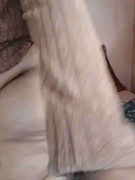 Snapshot of iamSunflower900 chatting on 4, 6, 2026 iamSunflower900 online show from 4, 6, 2026
