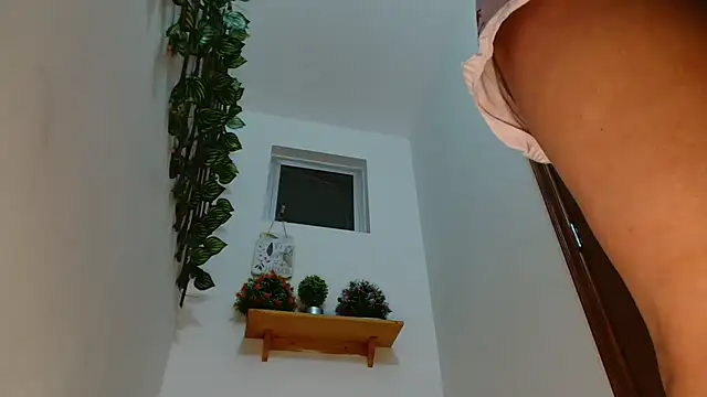 3littleschoolteens online show from 17, 7, 2026