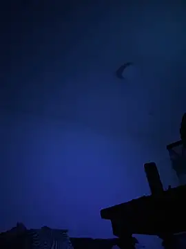 07Vu online show from 2, 5, 2026