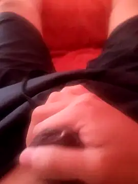 luisf001 online show from 9, 8, 2026