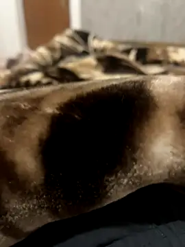 bigshow112 online show from 13, 11, 2025