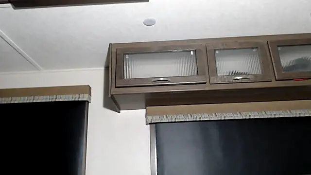 Snapshot of ThickD2C chatting on 25, 6, 2026 ThickD2C online show from 25, 6, 2026