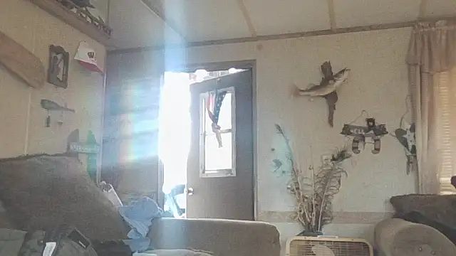 Yankeedave420 online show from 19, 11, 2025