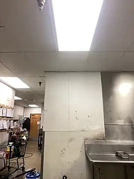 Mustang996 online show from 10, 4, 2026