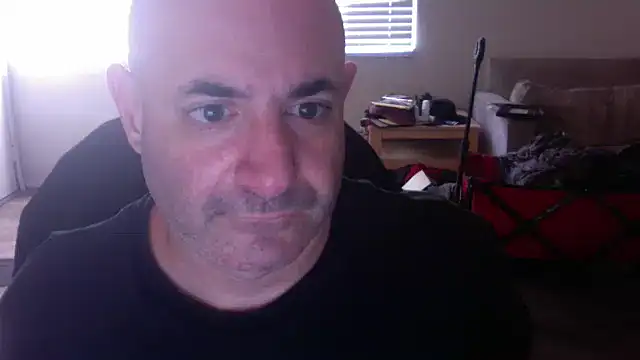 palidin1 online show from 24, 11, 2025