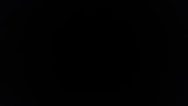 palidin1 online show from 25, 11, 2025