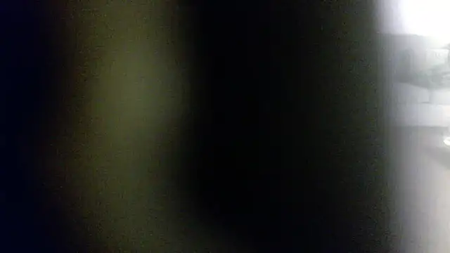 palidin1 online show from 1, 2, 2026