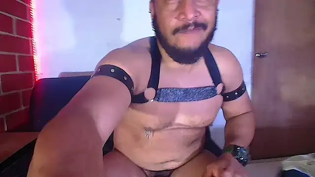 the master foal  online show from 6, 2, 2025