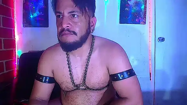 the master foal  online show from 5, 3, 2025