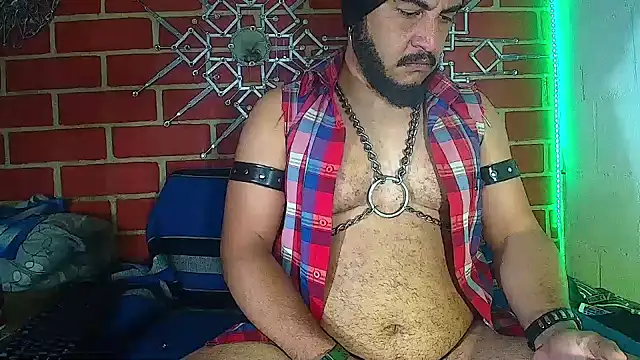 the master foal  online show from 18, 3, 2025