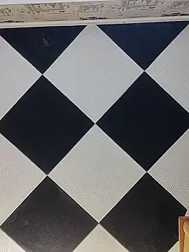 Rini333 online show from 4, 3, 2026