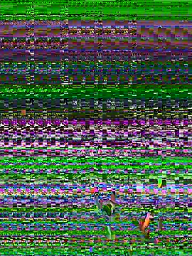 Sarita-candy online show from 23, 7, 2026