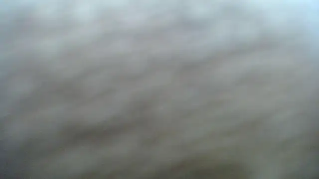 DAPHNE doll online show from 6, 11, 2025