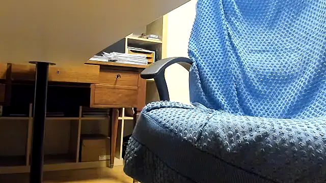 leccaleccafiga online show from 17, 11, 2025