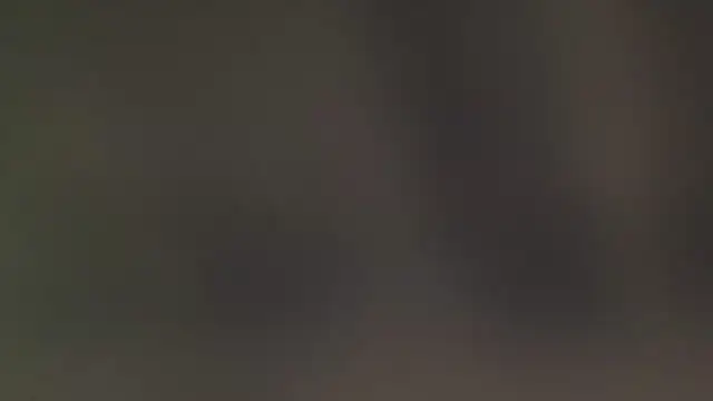 leccaleccafiga online show from 25, 2, 2026