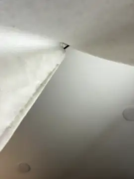 GeorginaJones online show from 18, 1, 2025