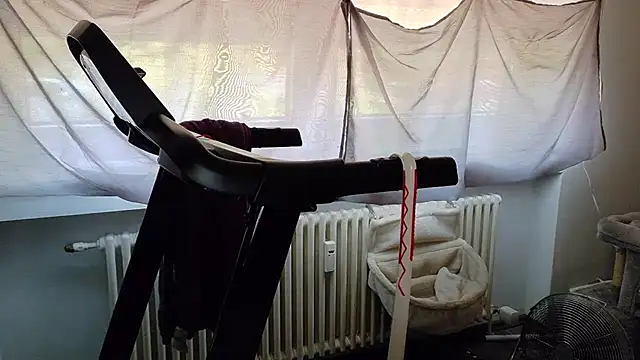 Snapshot of wetgerman_2 chatting on 3, 8, 2026 wetgerman 2 online show from 3, 8, 2026