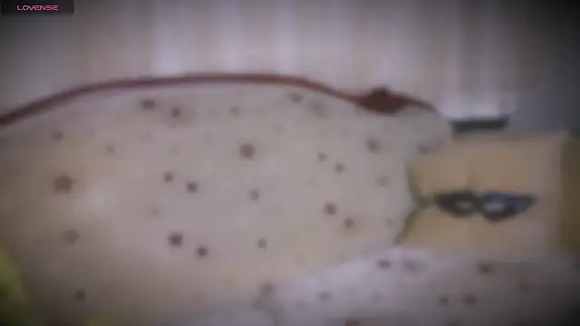 Snapshot of MERA_arab chatting on 19, 1, 2025 MERA arab online show from 19, 1, 2025