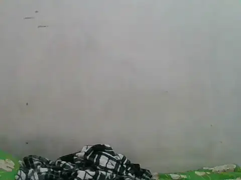 simplewild mom online show from 18, 9, 2025